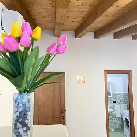 Апартаменты Serina *